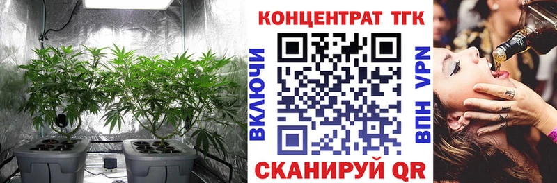 где можно купить   Иннополис  kraken как зайти  ТГК Wax 