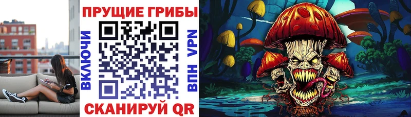 дарнет шоп  Иннополис  кракен зеркало  Галлюциногенные грибы мухоморы 